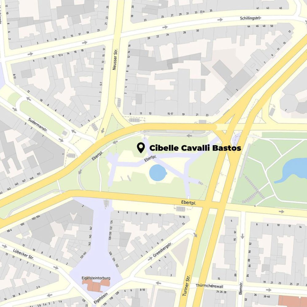 Auf einem Stadtplan ist der Standort Cibelle Cavalli Bastos in der Nähe eines Parks mit Straßen und Gebäuden hervorgehoben, die das Gebiet umgeben.