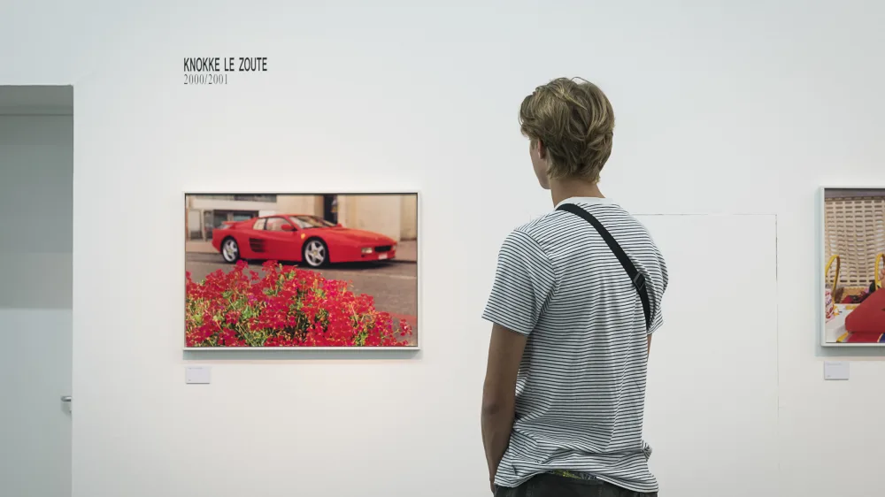 A young man looks at a photo of a red sports car in front of red flowers