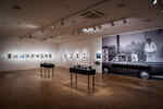 Exhibition view of the exhibition 100 Years of Nikon with several small photographs, a large photo wallpaper and two black vitriae