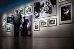 Mann in der Ausstellung 100 Jahre Nikon vor einer Wand an der mehrere gerahmte Fotografien hängen