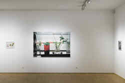 Drei Fotos von Wolfgang Tilmans hängen in der Ausstellung Made in Düsseldorf Nummer 2